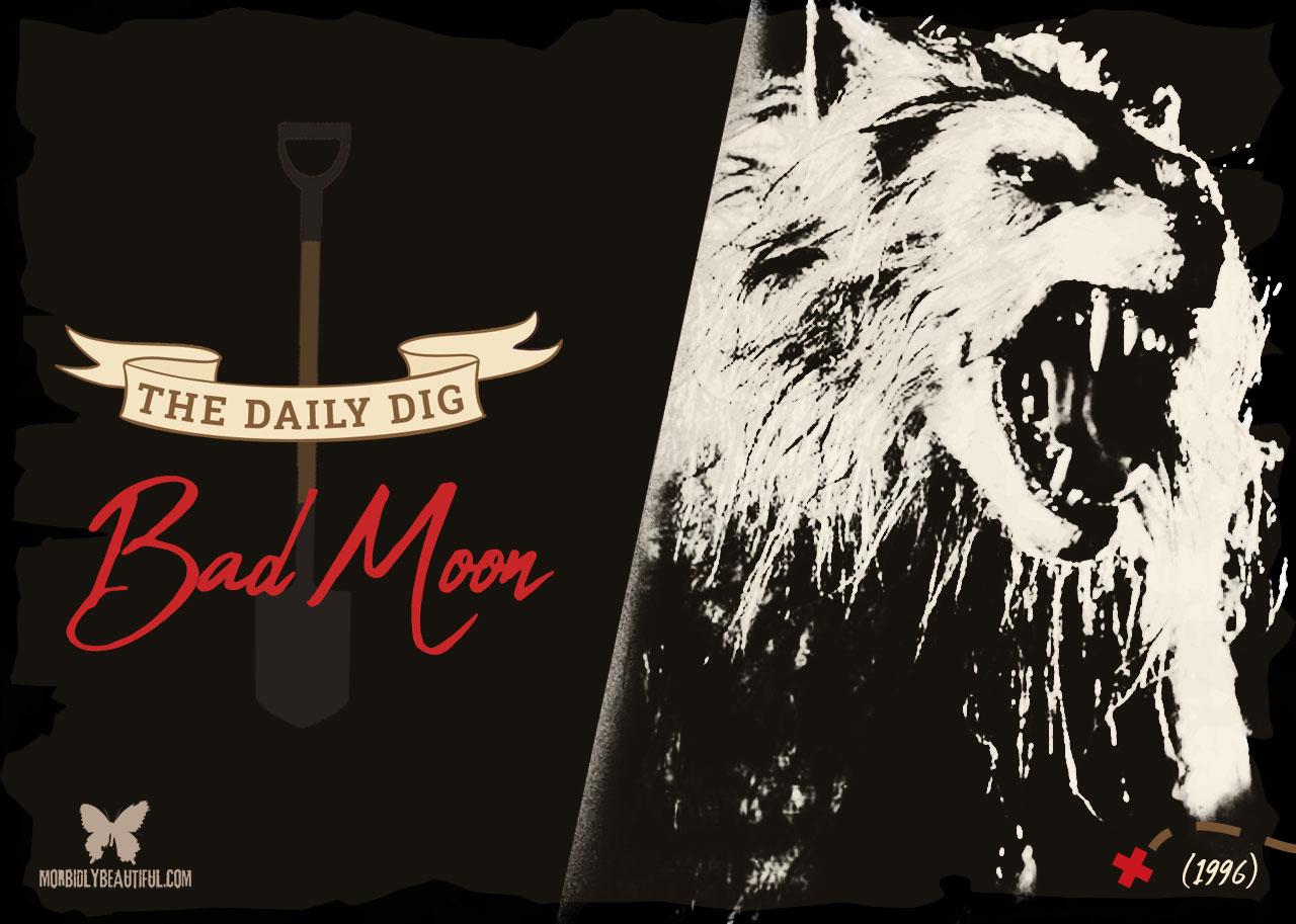 The Daily Dig: Bad Moon (1996)