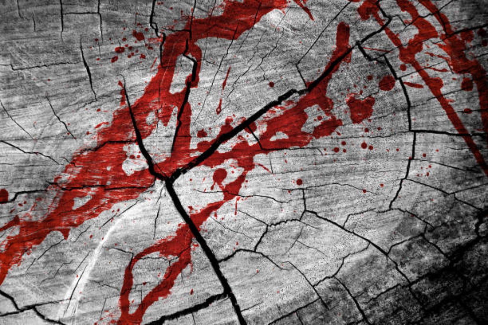'Terror At Black Tree Forest' de Dustin Ferguson recibe una nueva versión